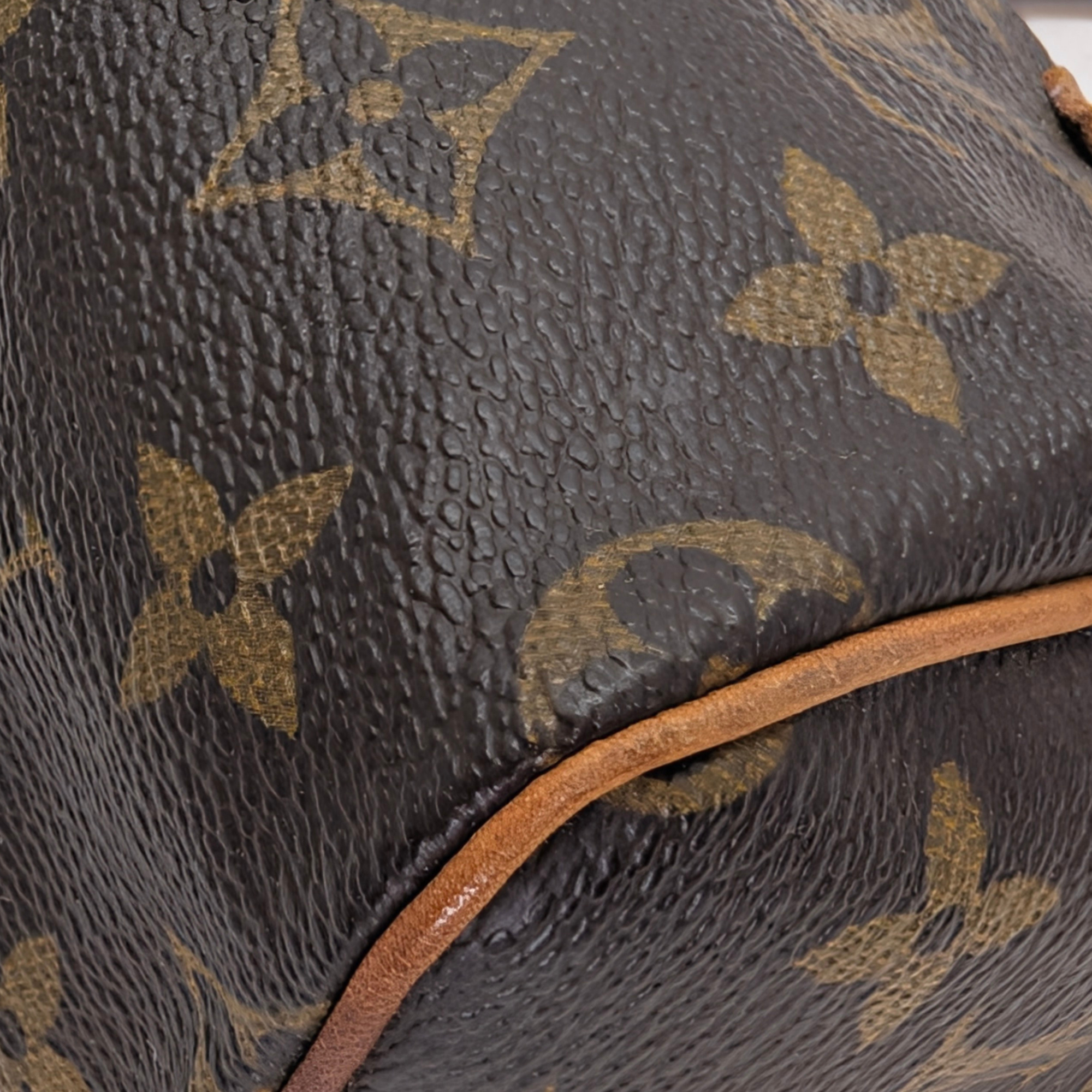 路易威登 Nano Speedy Monogram 手袋 棕色