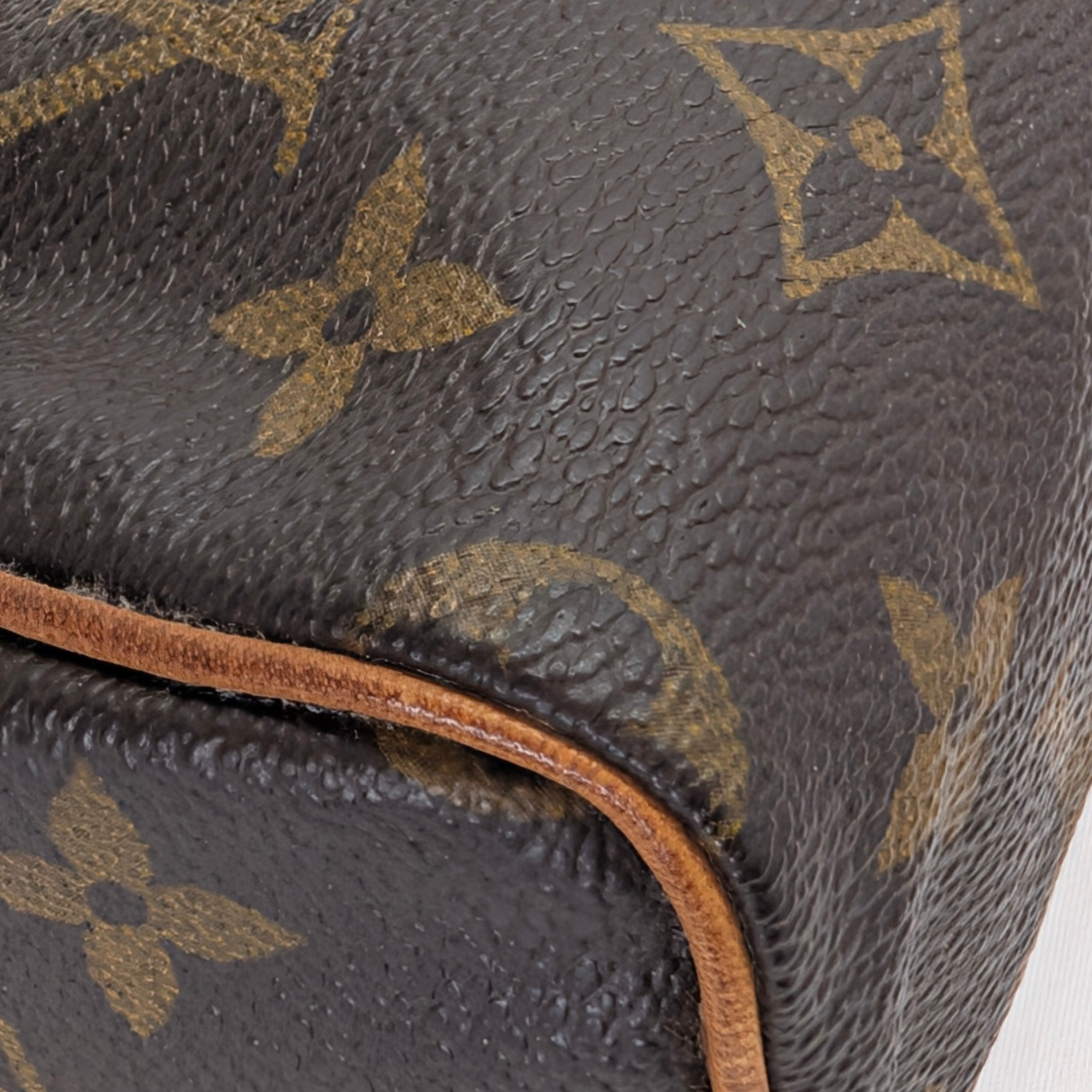 路易威登 Nano Speedy Monogram 手袋 棕色