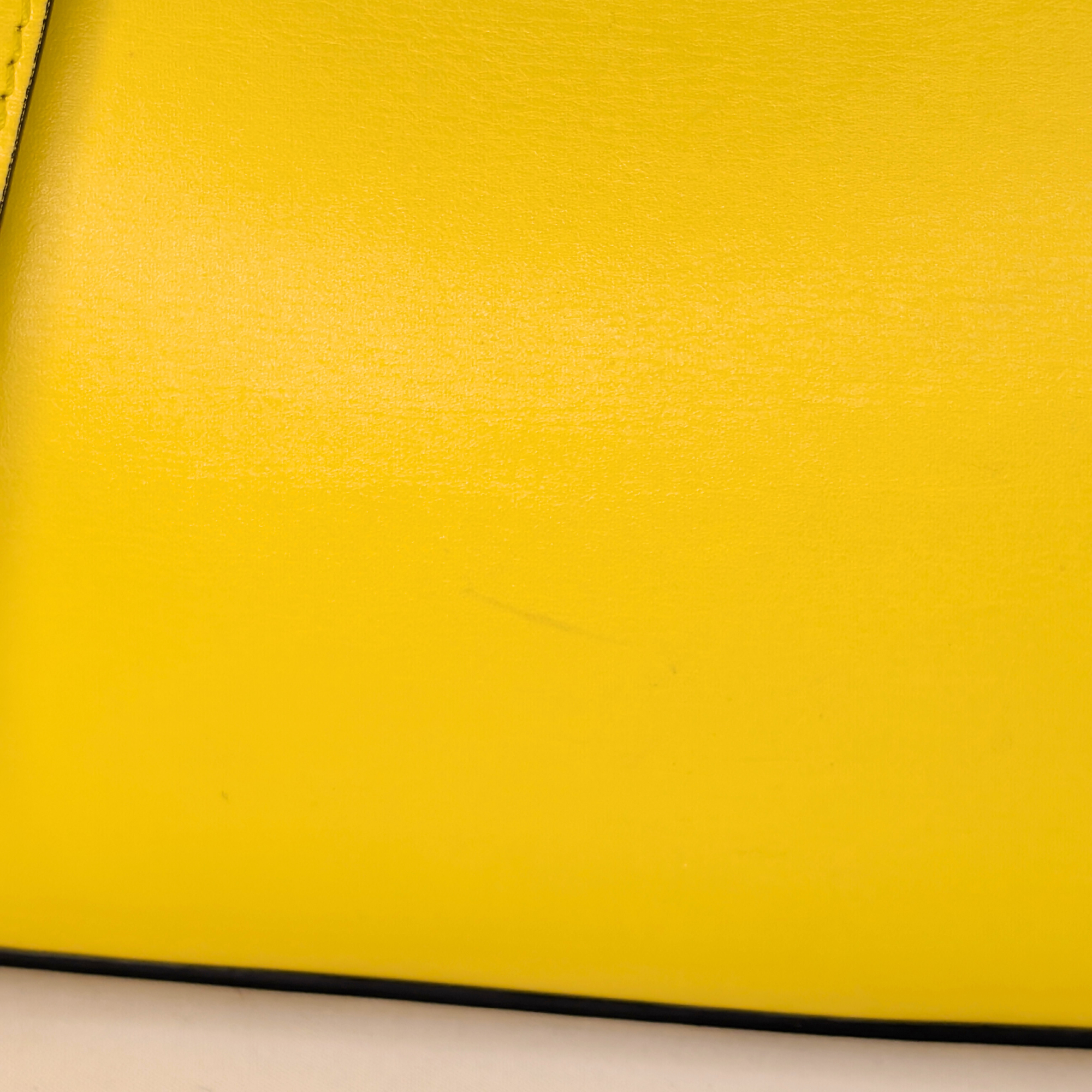 Loewe Mini Lazo 黄色手袋