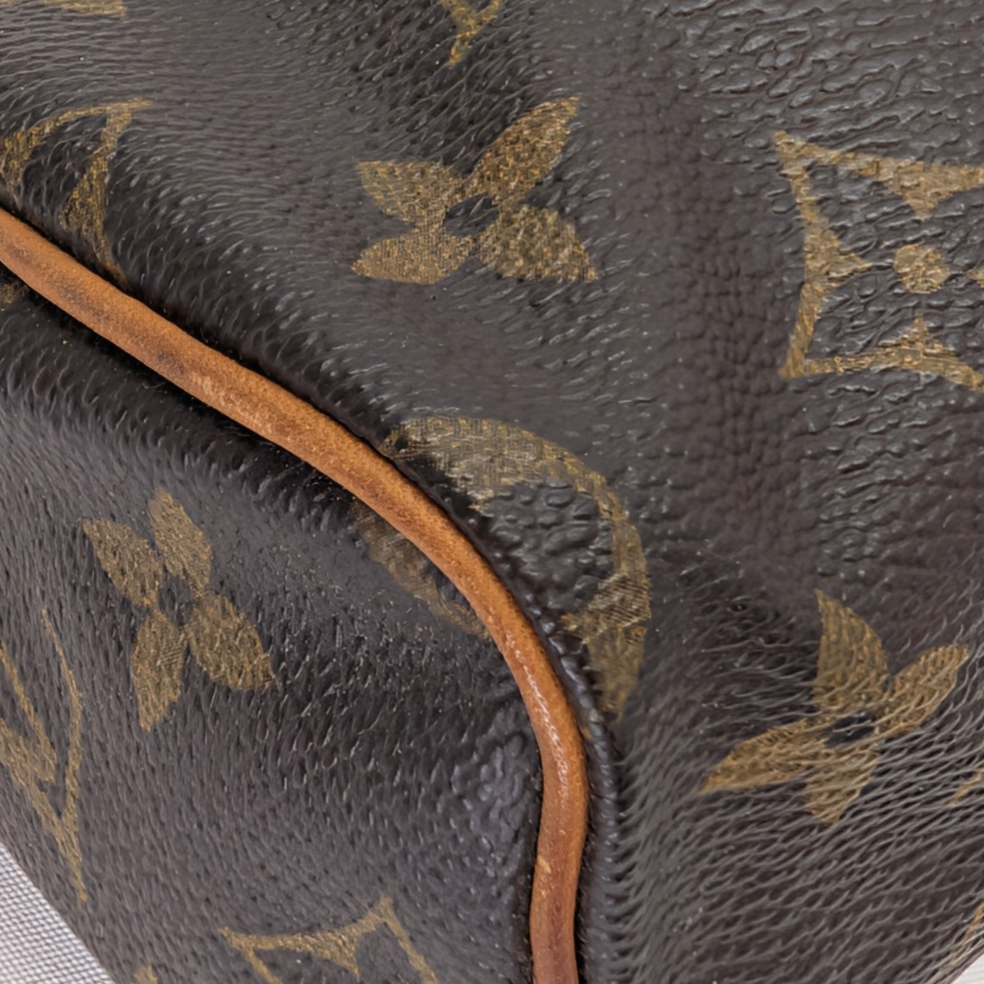 路易威登 Nano Speedy Monogram 手袋 棕色