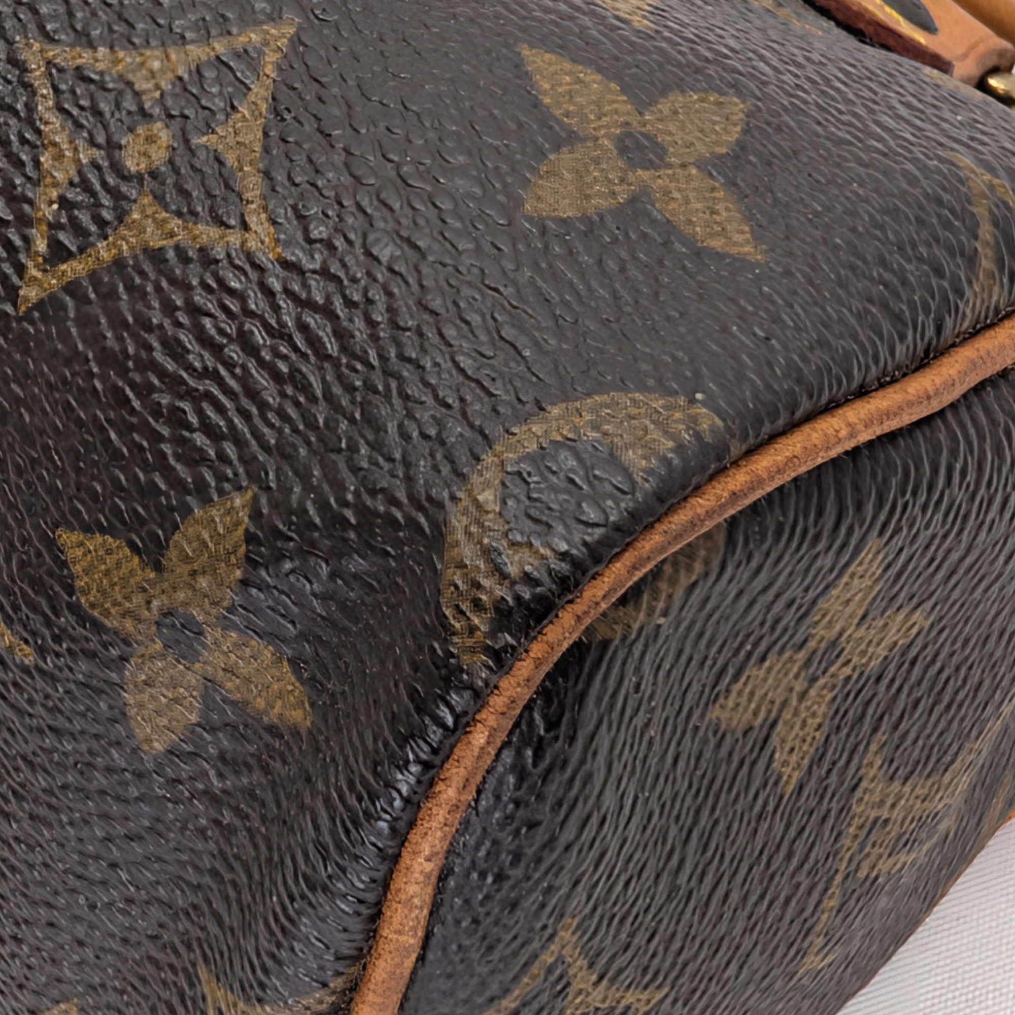 路易威登 Nano Speedy Monogram 手袋 棕色