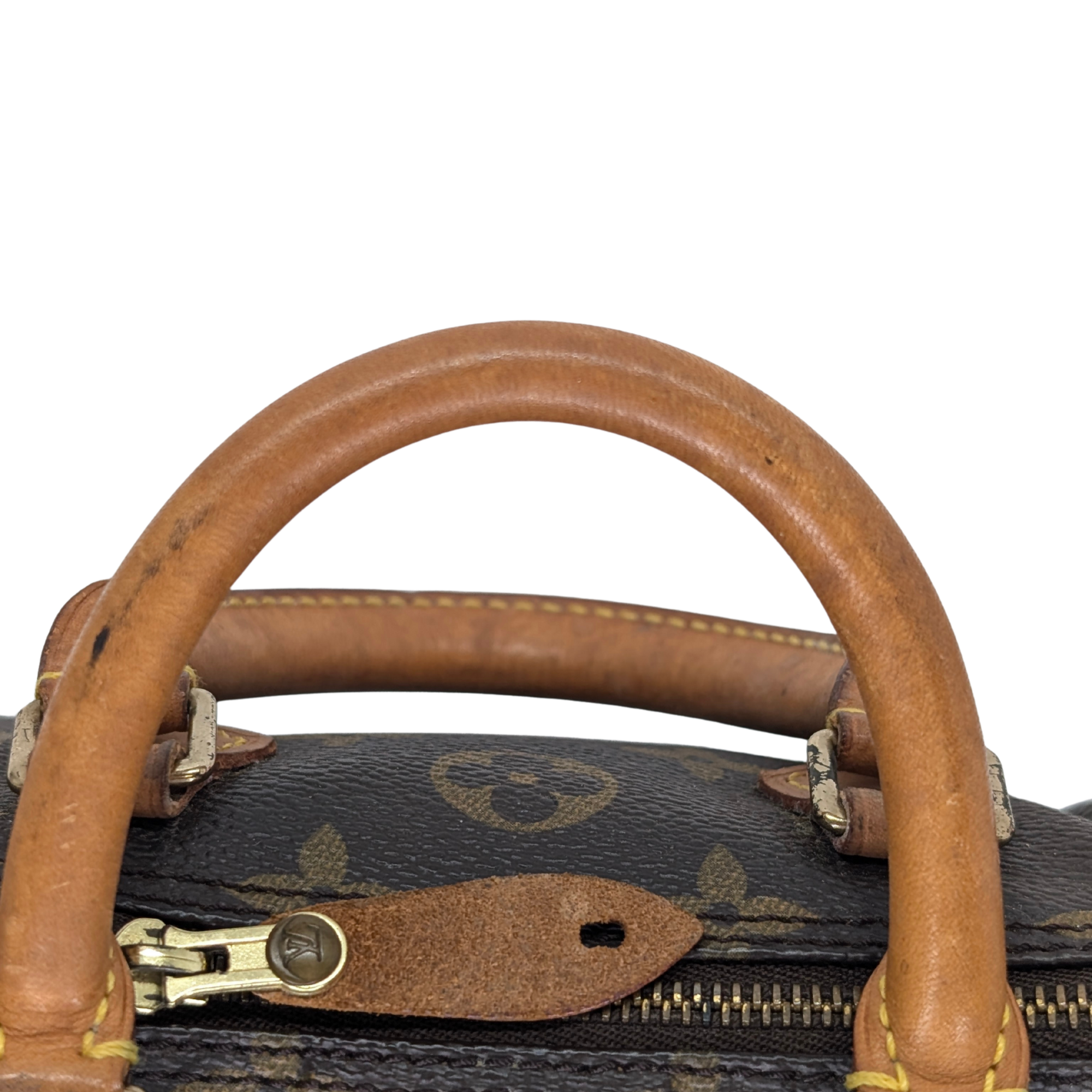 路易威登 Nano Speedy Monogram 手袋 棕色