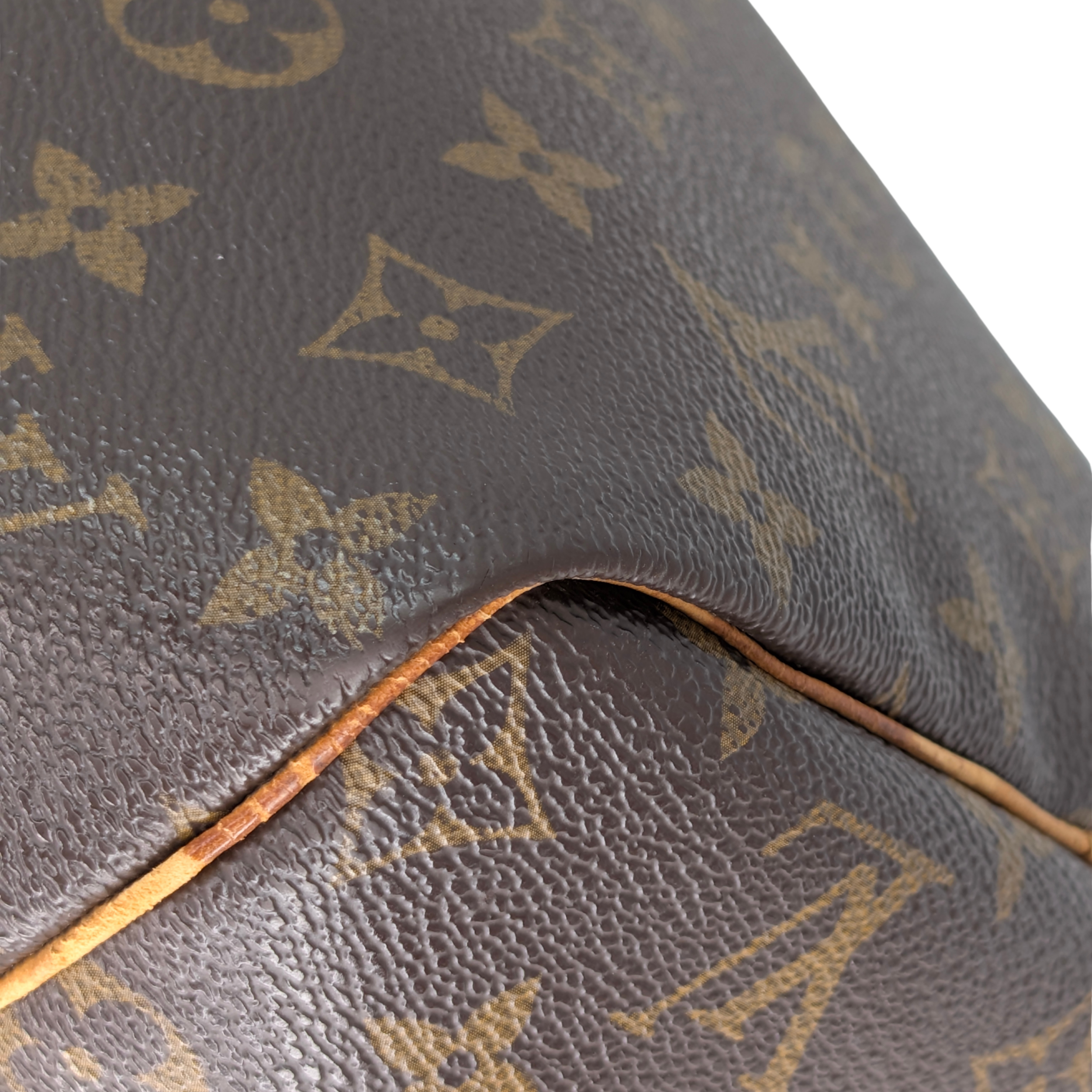 Louis Vuitton Monogram Speedy 30 Bag