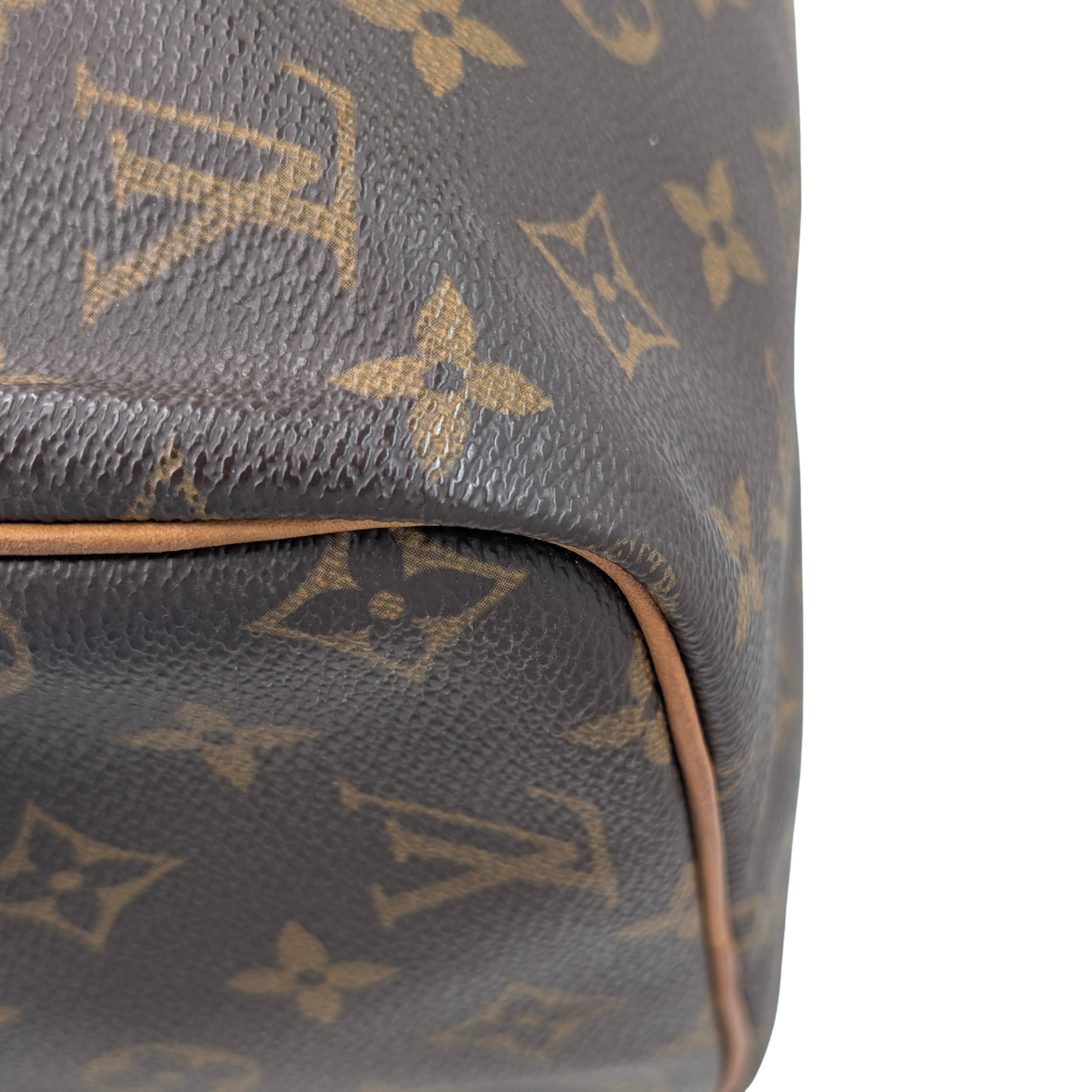 Louis Vuitton Speedy 30 Monogram Bag
