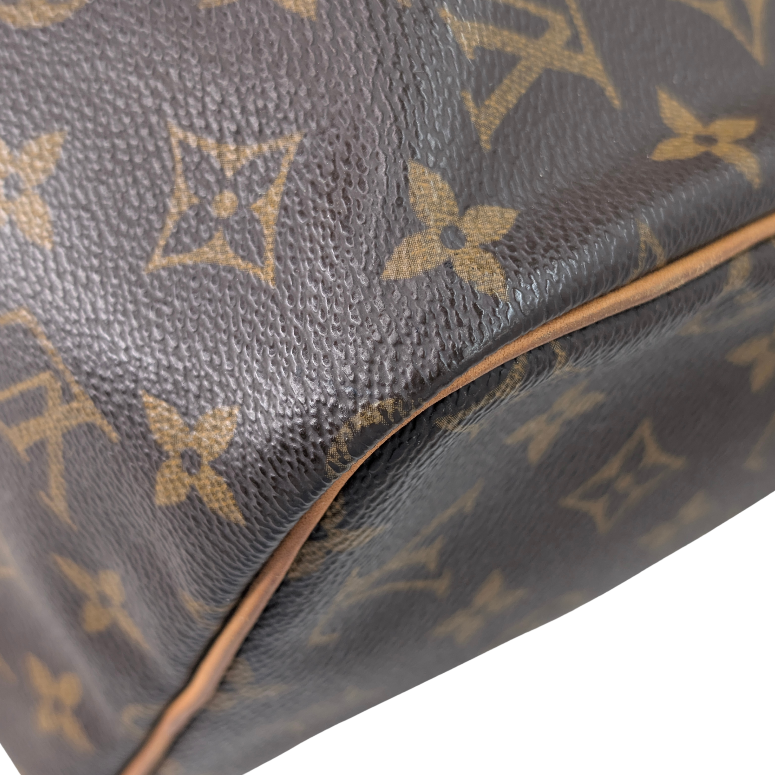 Louis Vuitton Speedy 30 Monogram Bag
