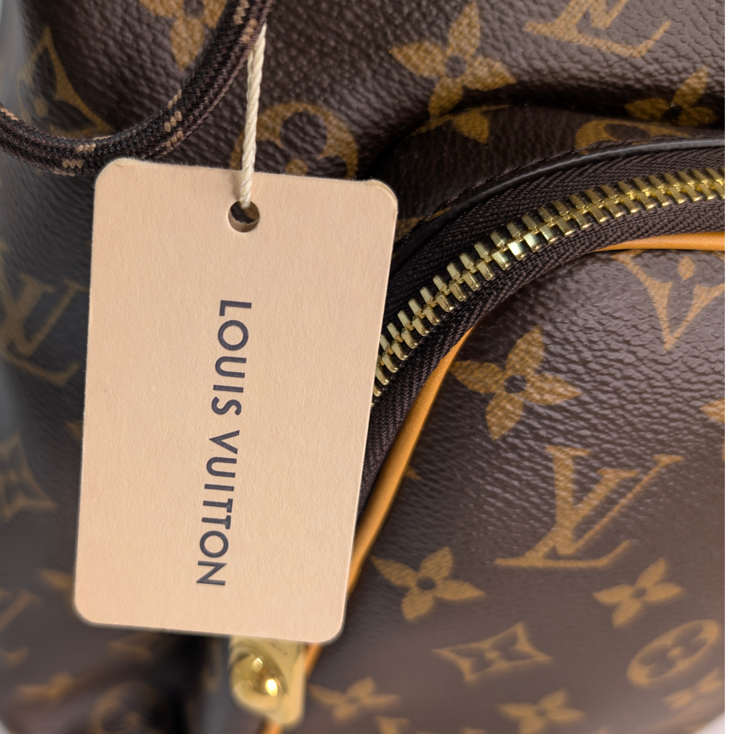 路易威登Montsouris Cargo双肩包Monogram