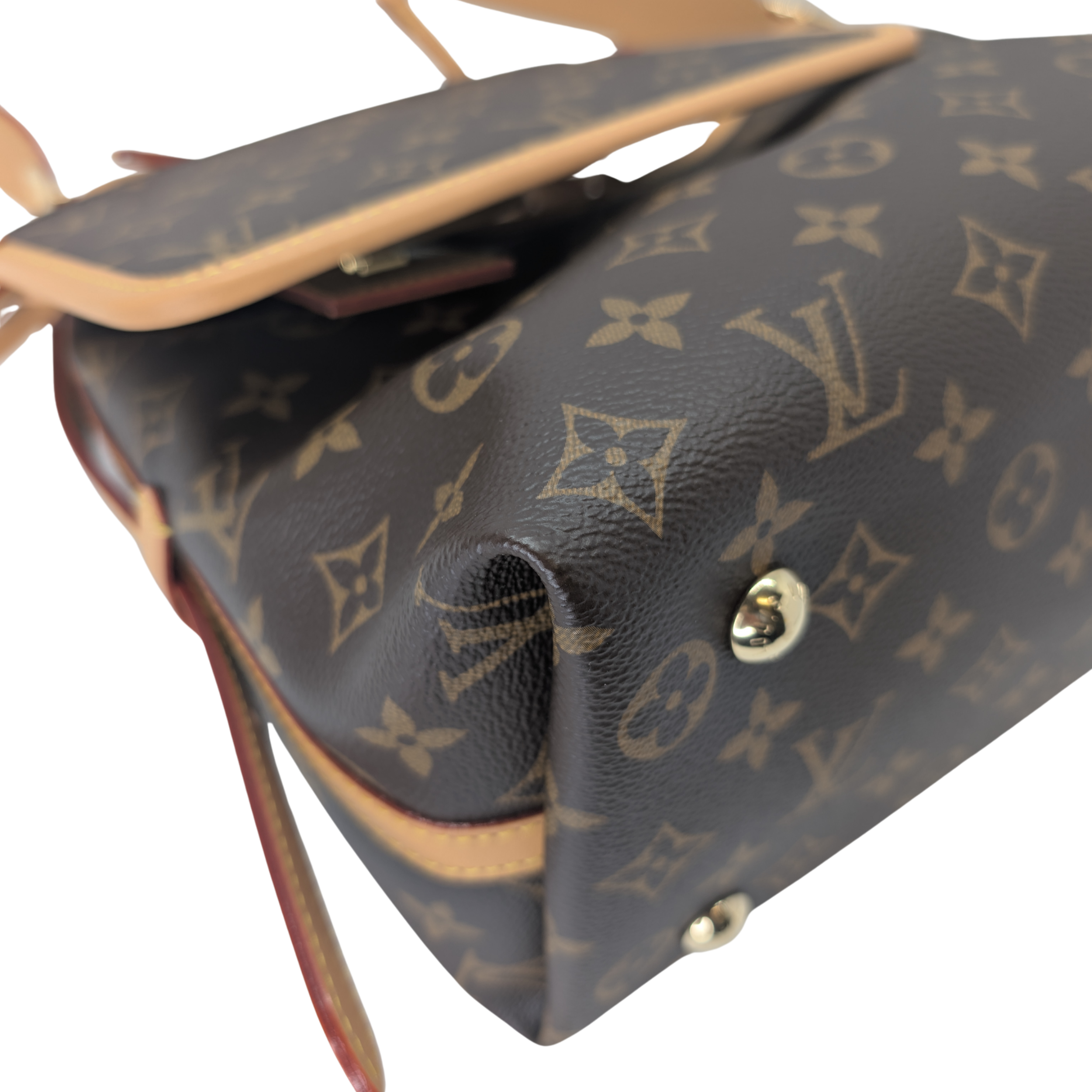 路易威登 Carryall PM Monogram 手袋
