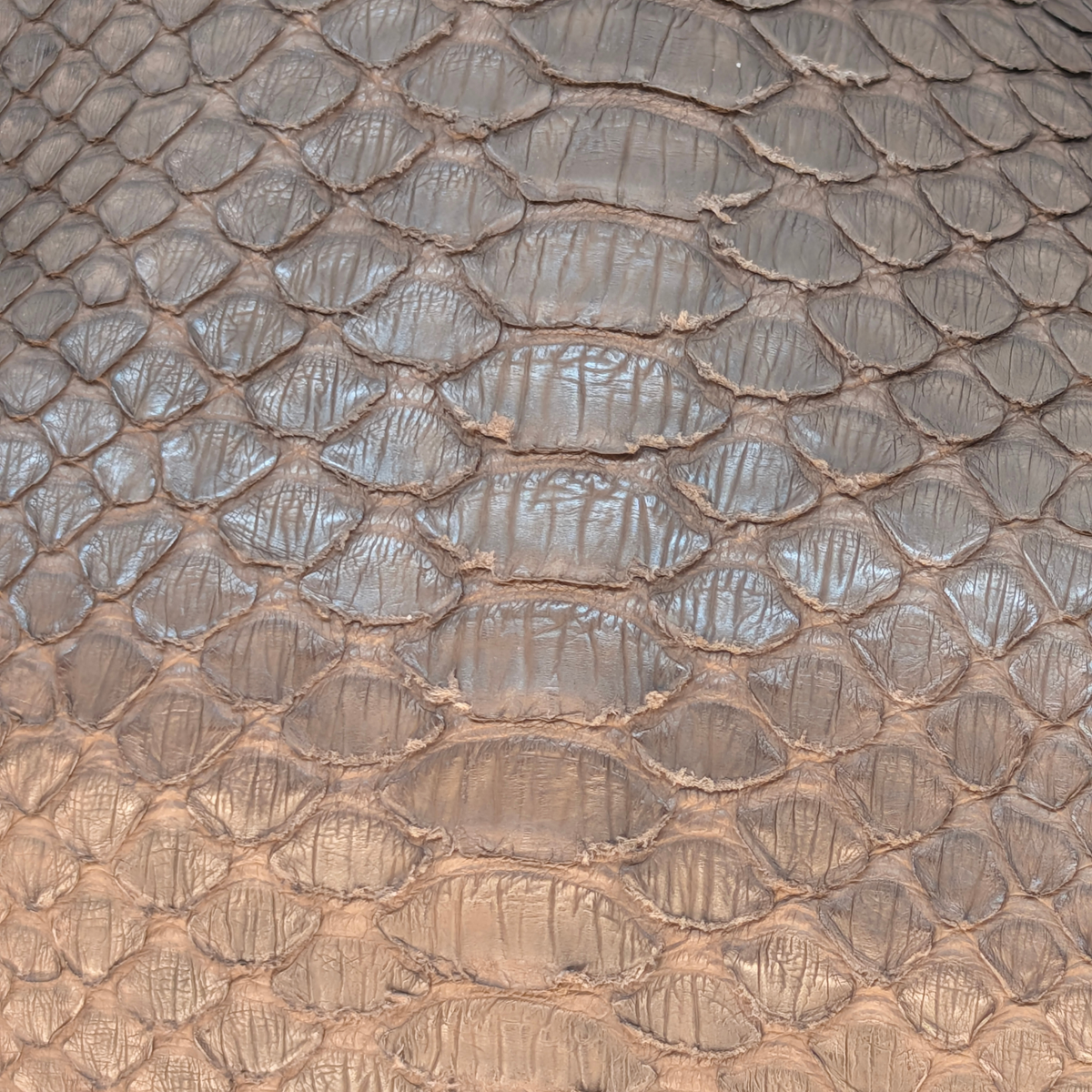 Bvlgari Limited Edition Brown Python Leather Chain Shoulder Bag