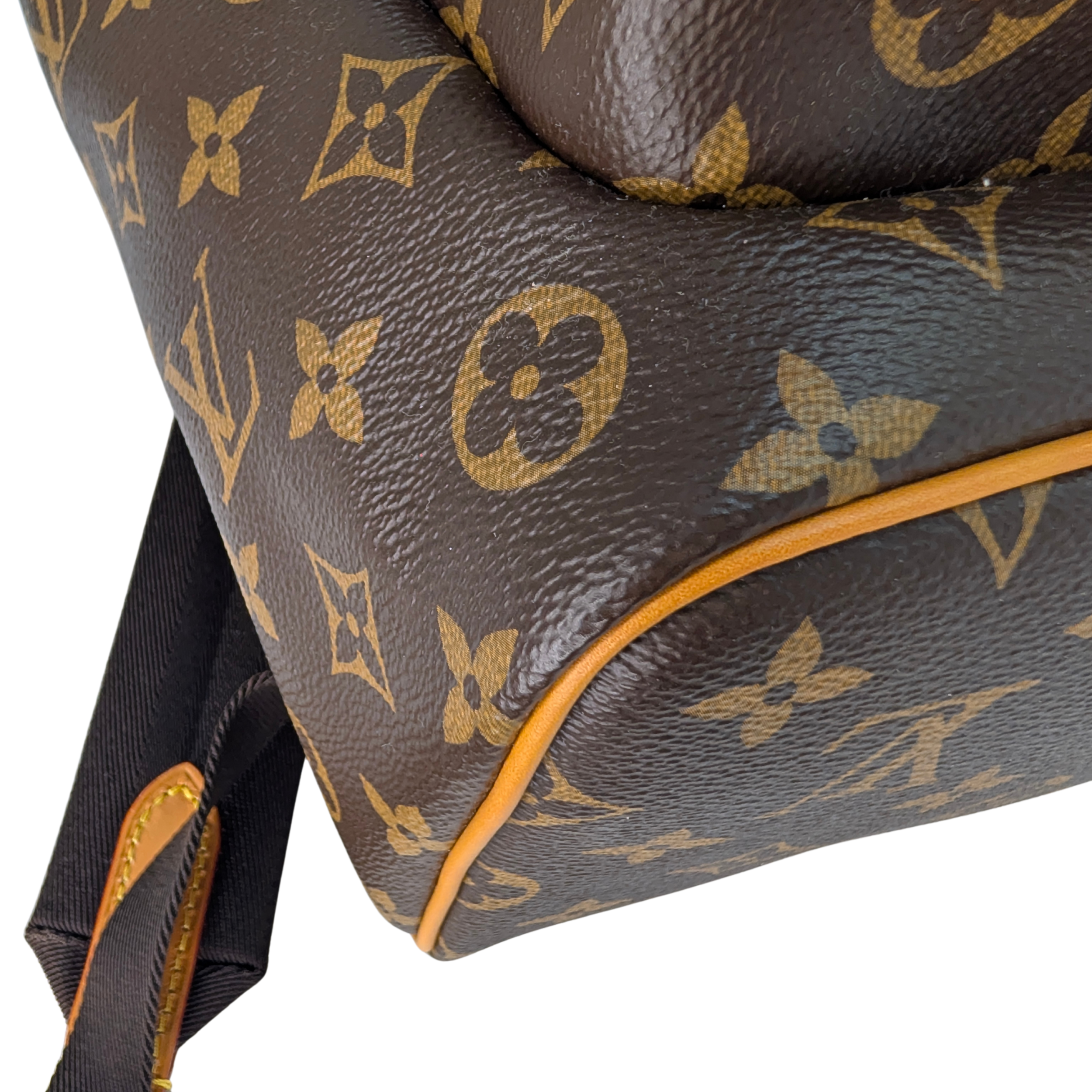 路易威登Montsouris Cargo双肩包Monogram