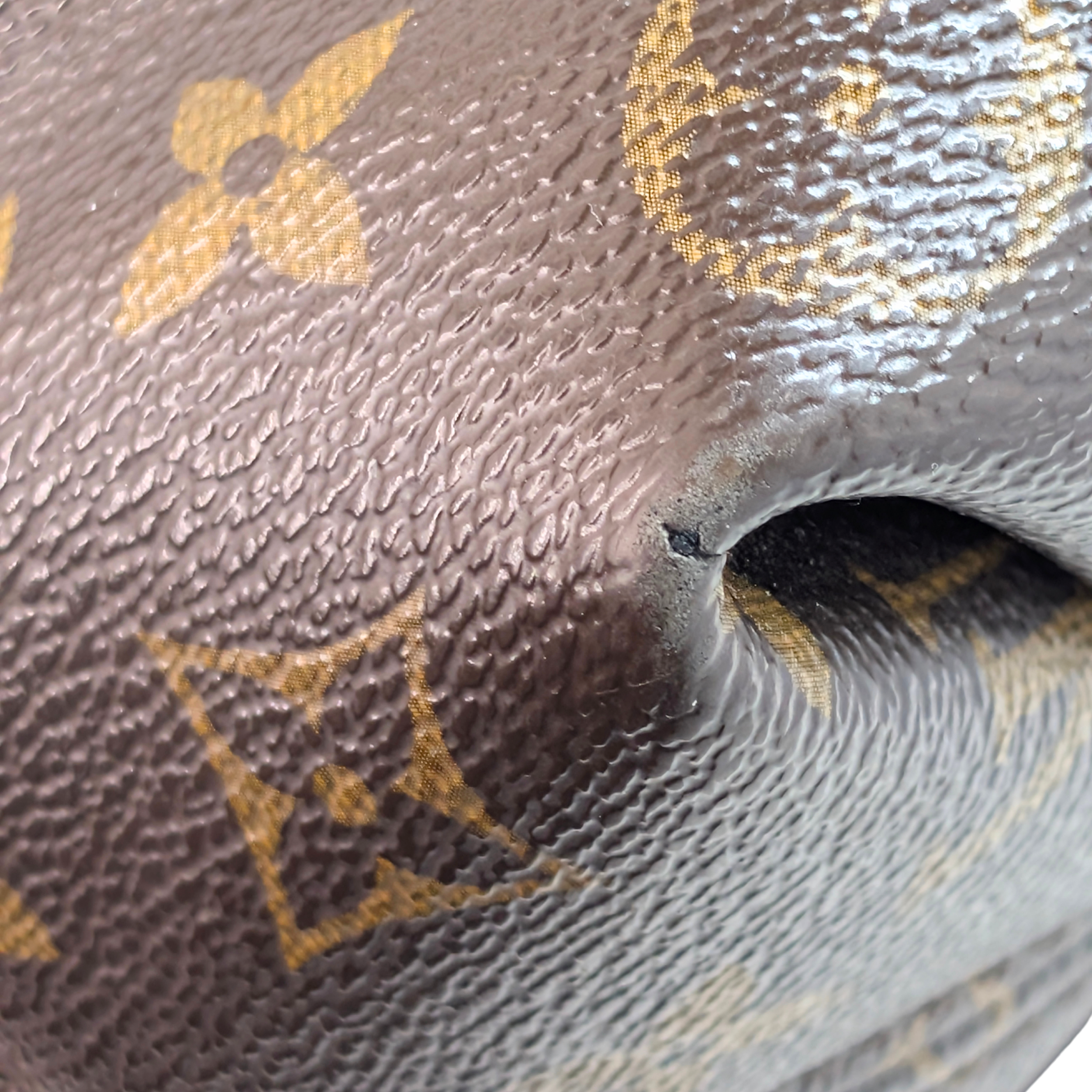 Louis Vuitton Sully MM Monogram Hobo Bag