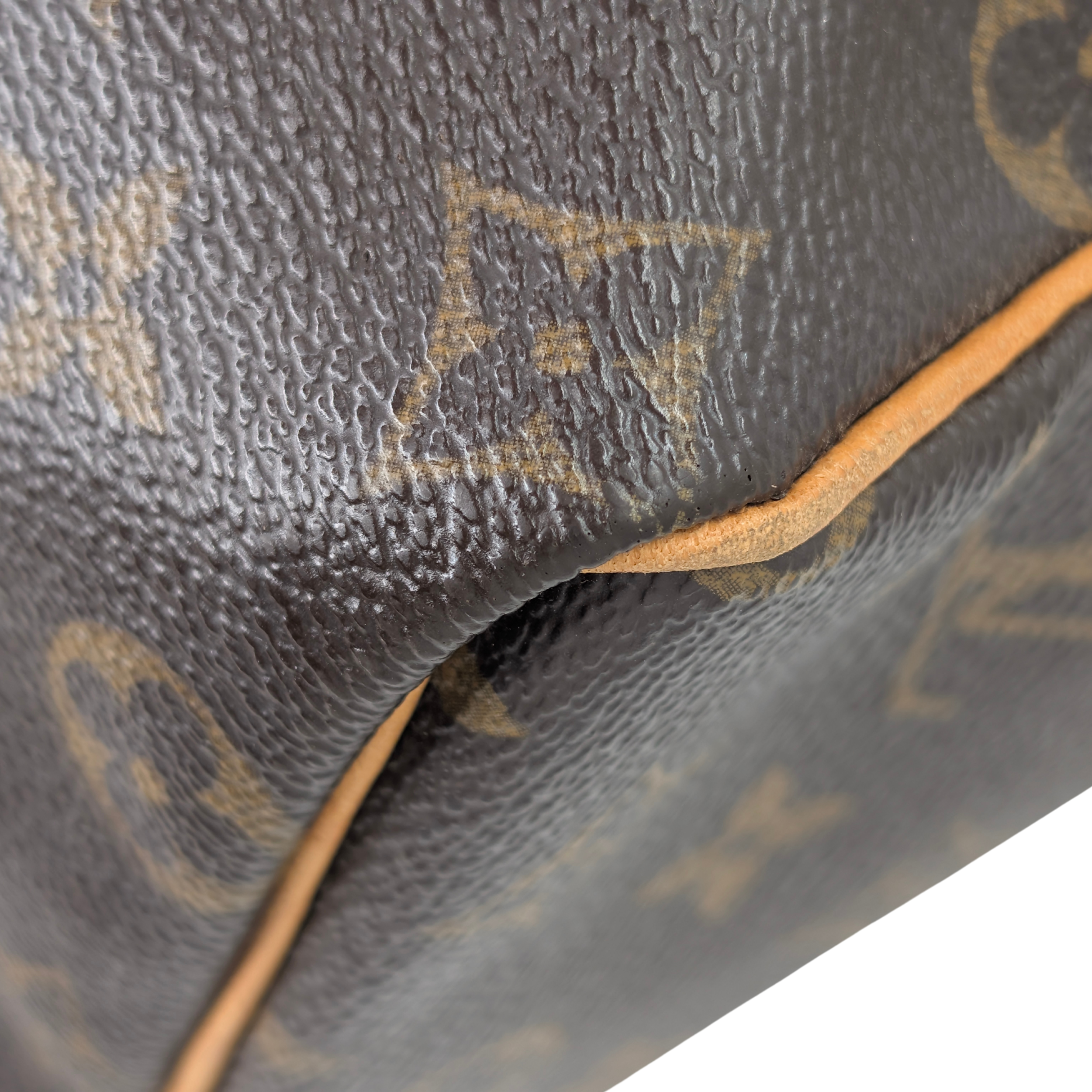 Louis Vuitton Speedy 25 Monogram Handbag